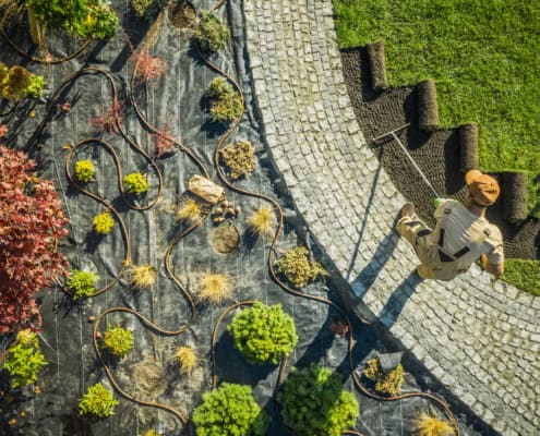 Landscape Specialist Finishing Newly Developed Garden. Installing Last Pieces of Natural Grass Turfs. Garden Aerial View. Industrial Theme.