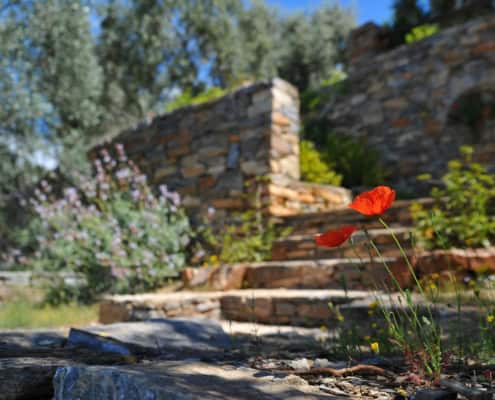 Photo of masonry in backyard with flowers and landscaping