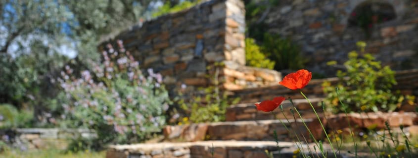 Photo of masonry in backyard with flowers and landscaping